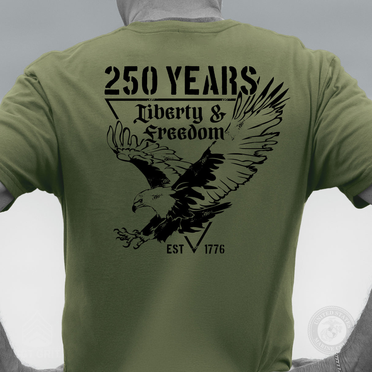 250 Years Eagle T-Shirt- OD Green - SGT GRIT