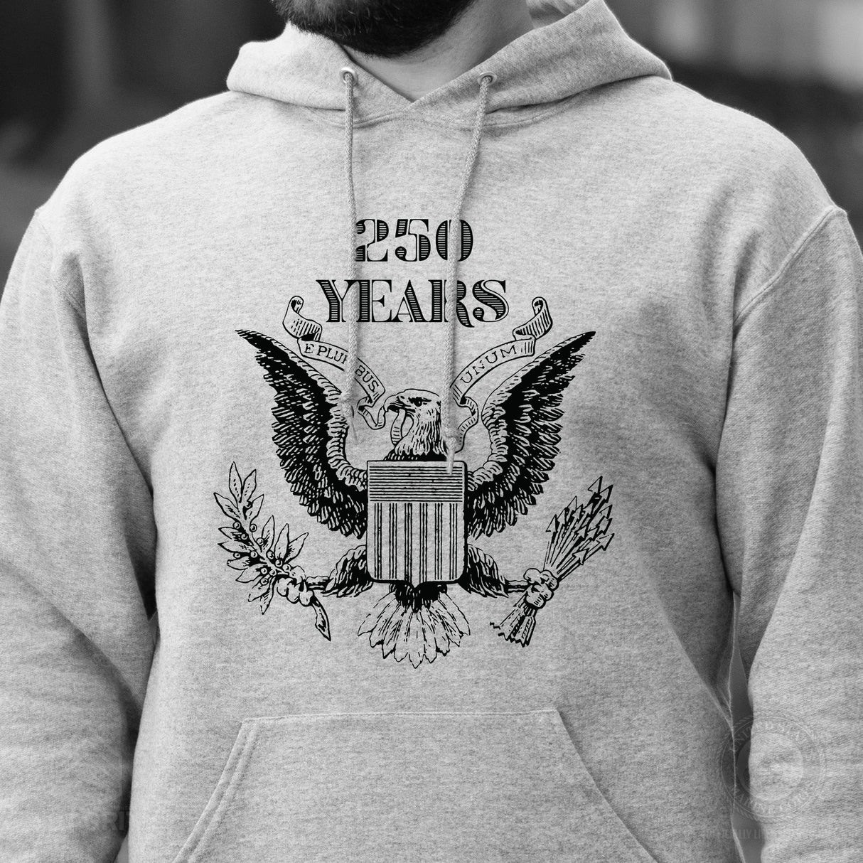 Vintage Eagle 250 Years Hoodie- Gray - SGT GRIT