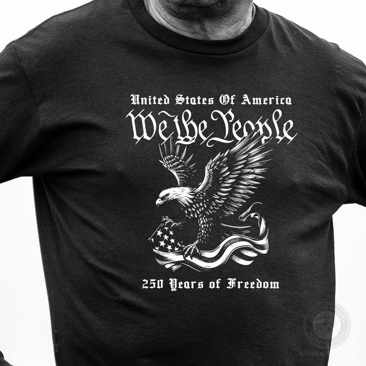 We The People 250 Years Eagle Long Sleeve T-Shirt - SGT GRIT