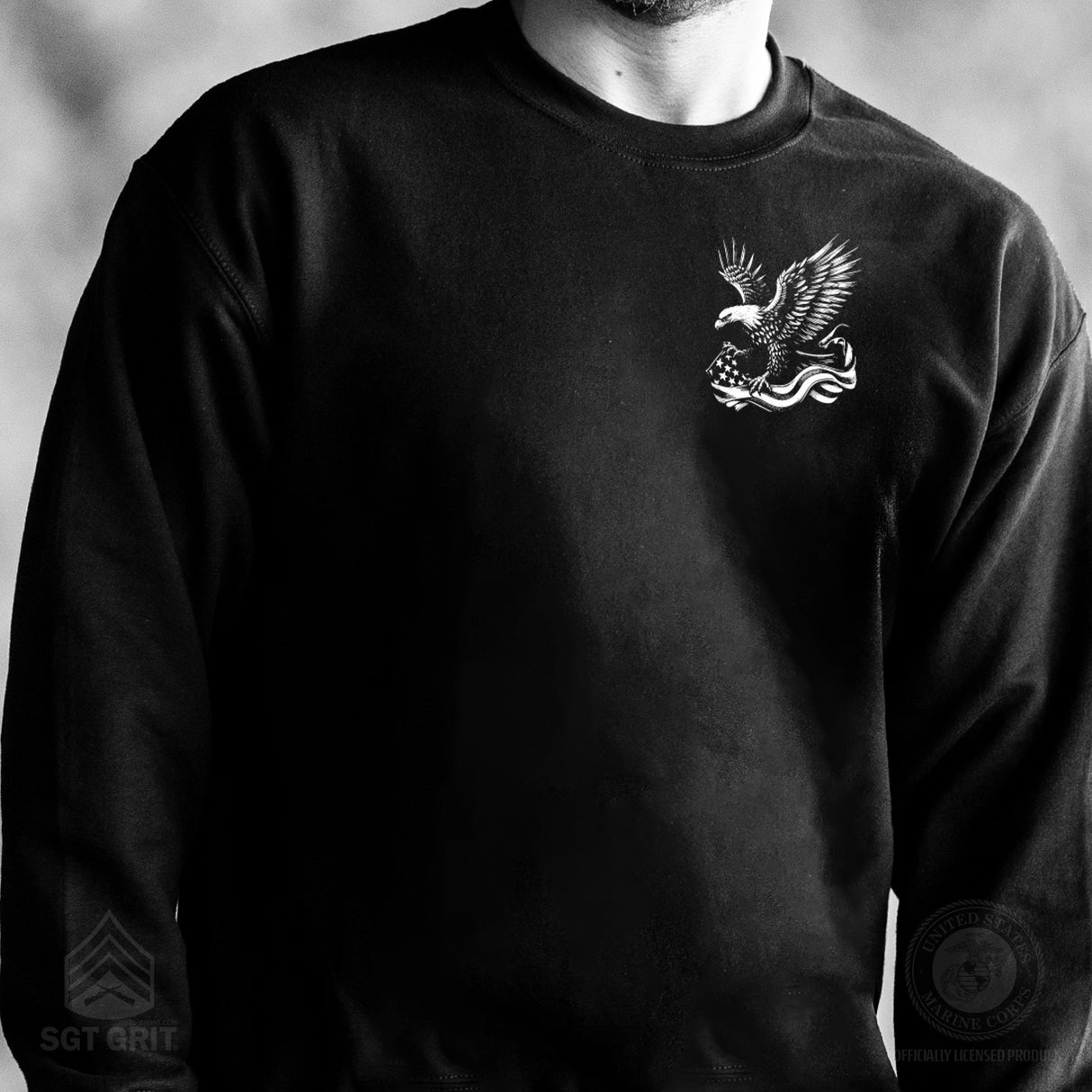 We The People 250 Years Eagle Sweatshirt- Back Design - SGT GRIT