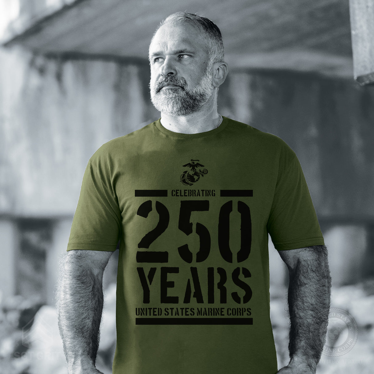 USMC Celebrating 250 Years T-Shirt- OD Green - SGT GRIT