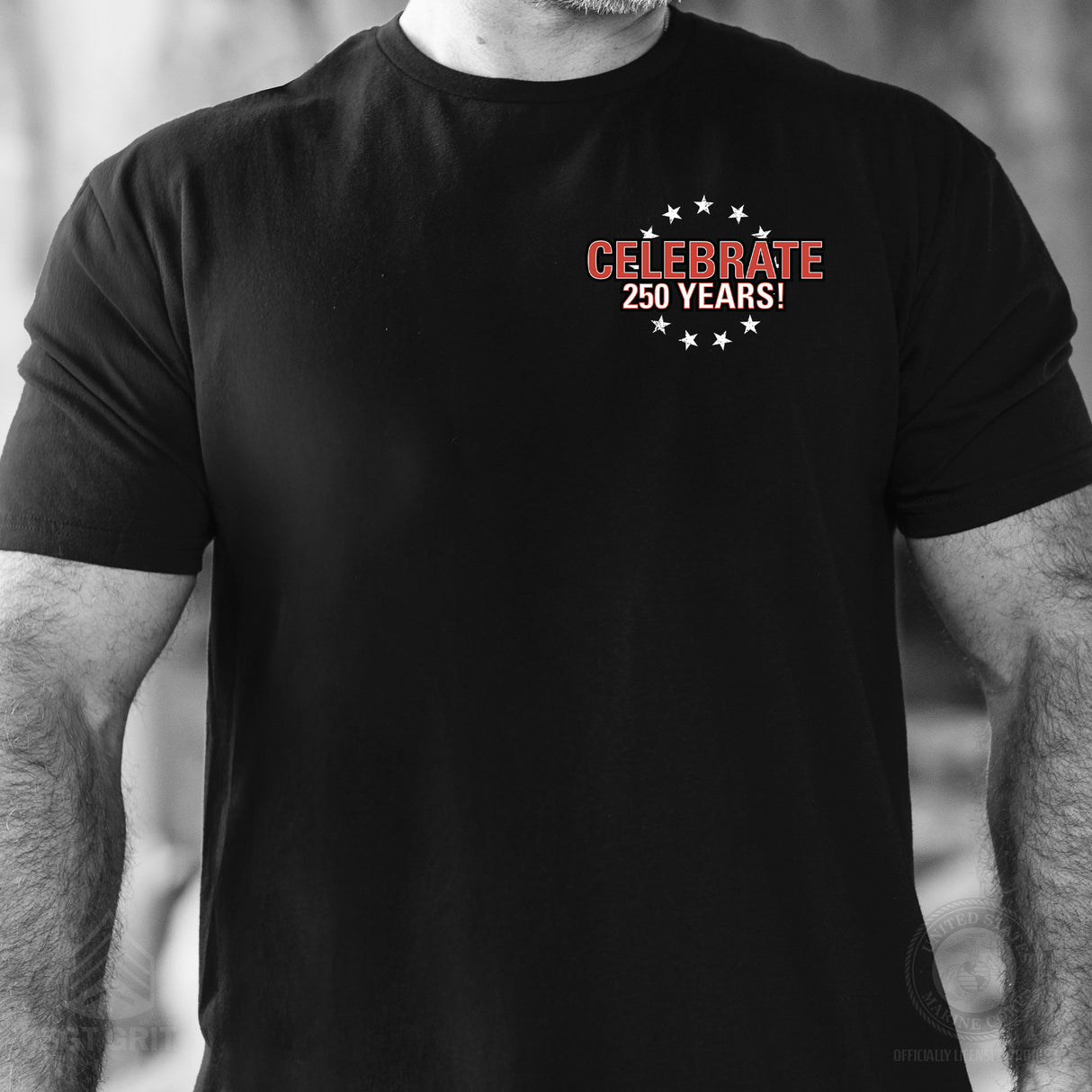 I Want You to Celebrate 250 Years T-Shirt - Back Design - SGT GRIT