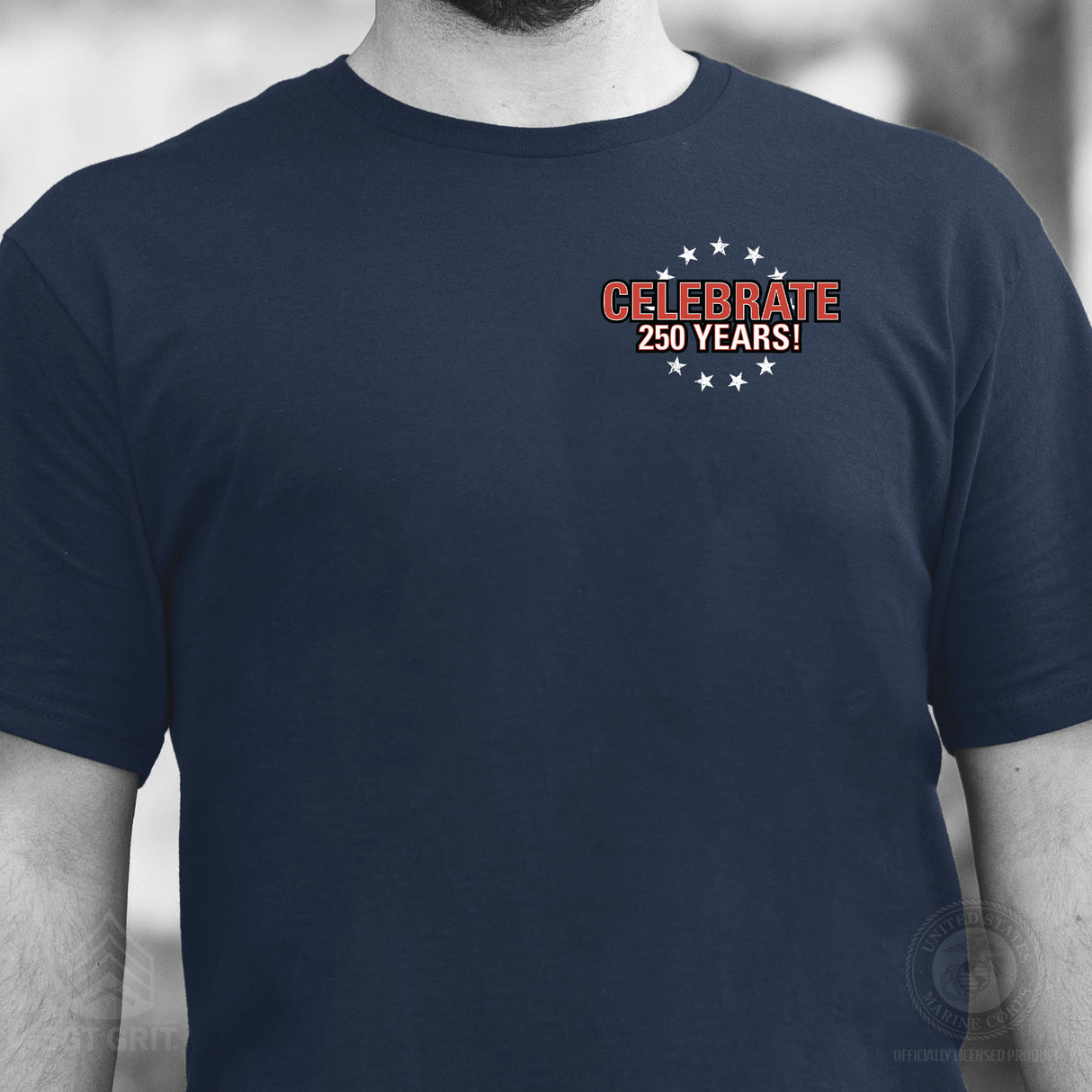 I Want You to Celebrate 250 Years T-Shirt - Back Design - SGT GRIT