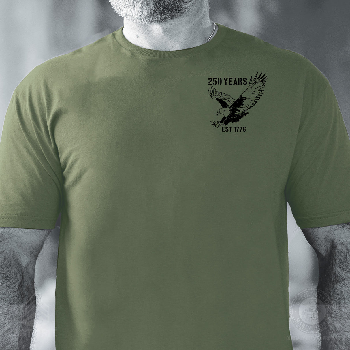250 Years Eagle T-Shirt- OD Green - SGT GRIT