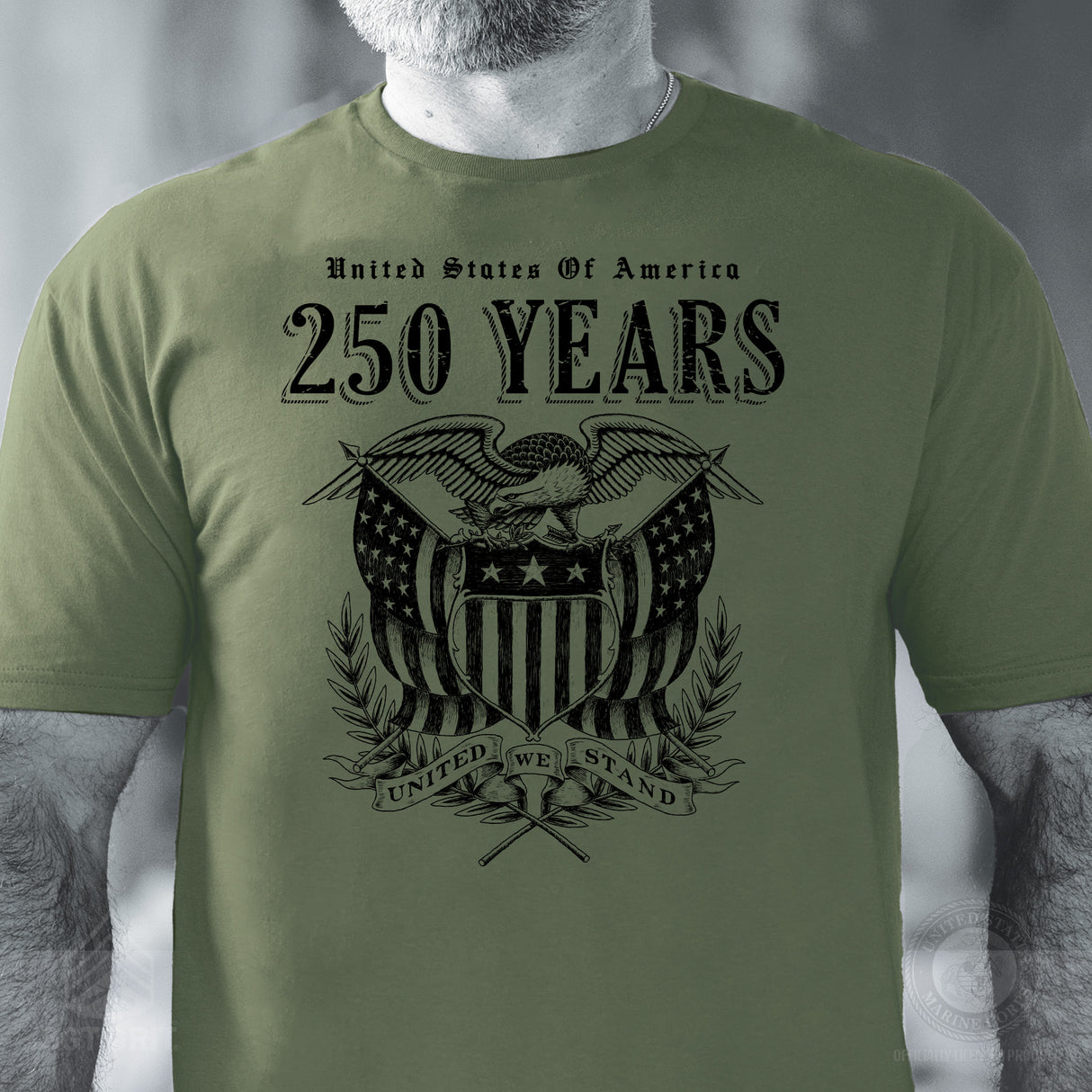 250 Years United We Stand T-Shirt - SGT GRIT