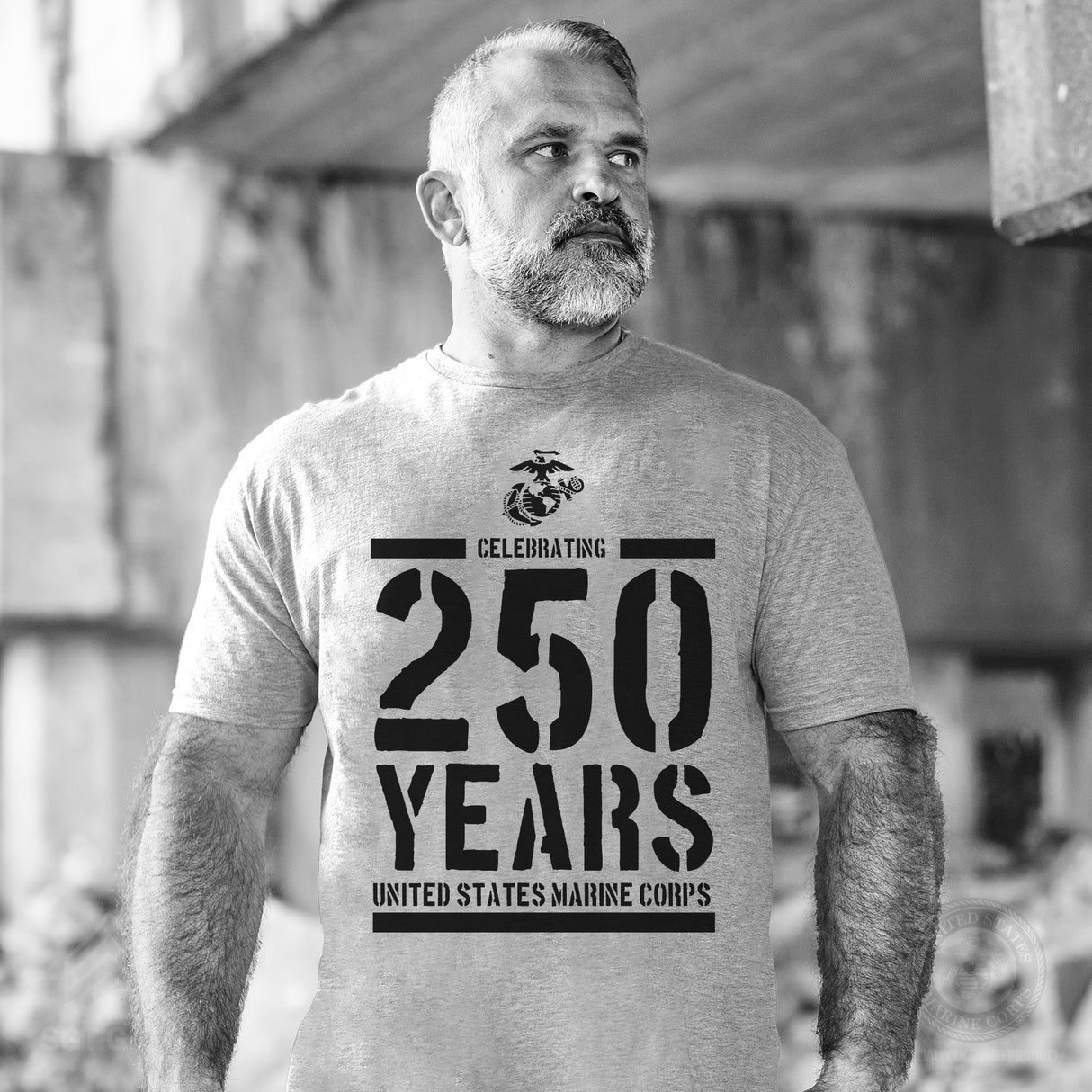 USMC Celebrating 250 Years T-Shirt- OD Green - SGT GRIT
