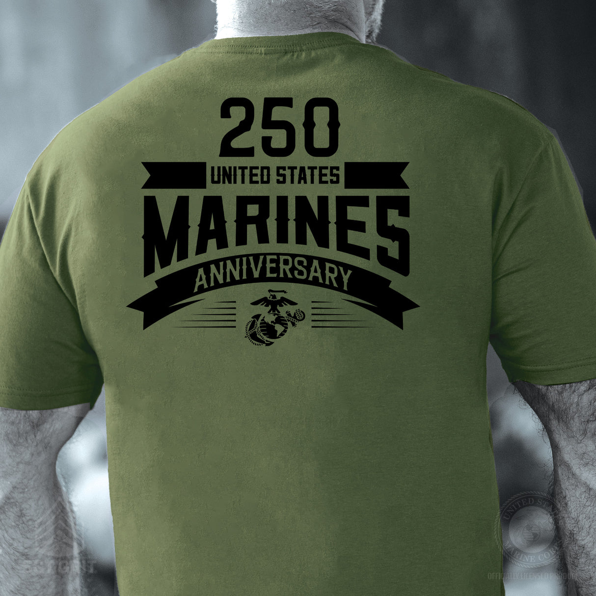 USMC 250th Anniversary Ribbon T-Shirt- Back Design - SGT GRIT
