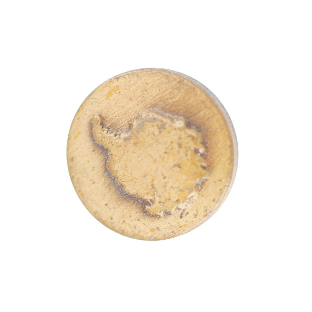 Antarctica Disk - Bronze - SGT GRIT