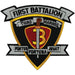 1st Battalion 3rd Marines Patch - SGT GRIT
