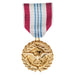 Defense Meritorious Service Medal - SGT GRIT