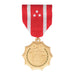 Philippine Defense Service Medal - SGT GRIT