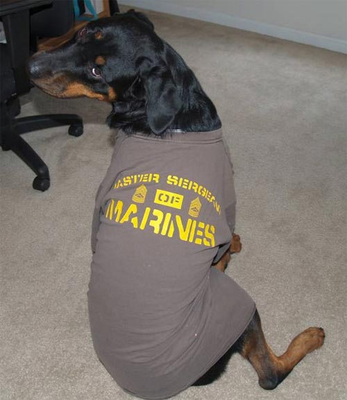 MSgt of Marines T-Shirt