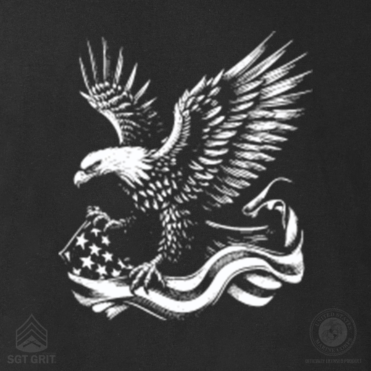 We The People 250 Years Eagle Hoodie- Back Design - SGT GRIT
