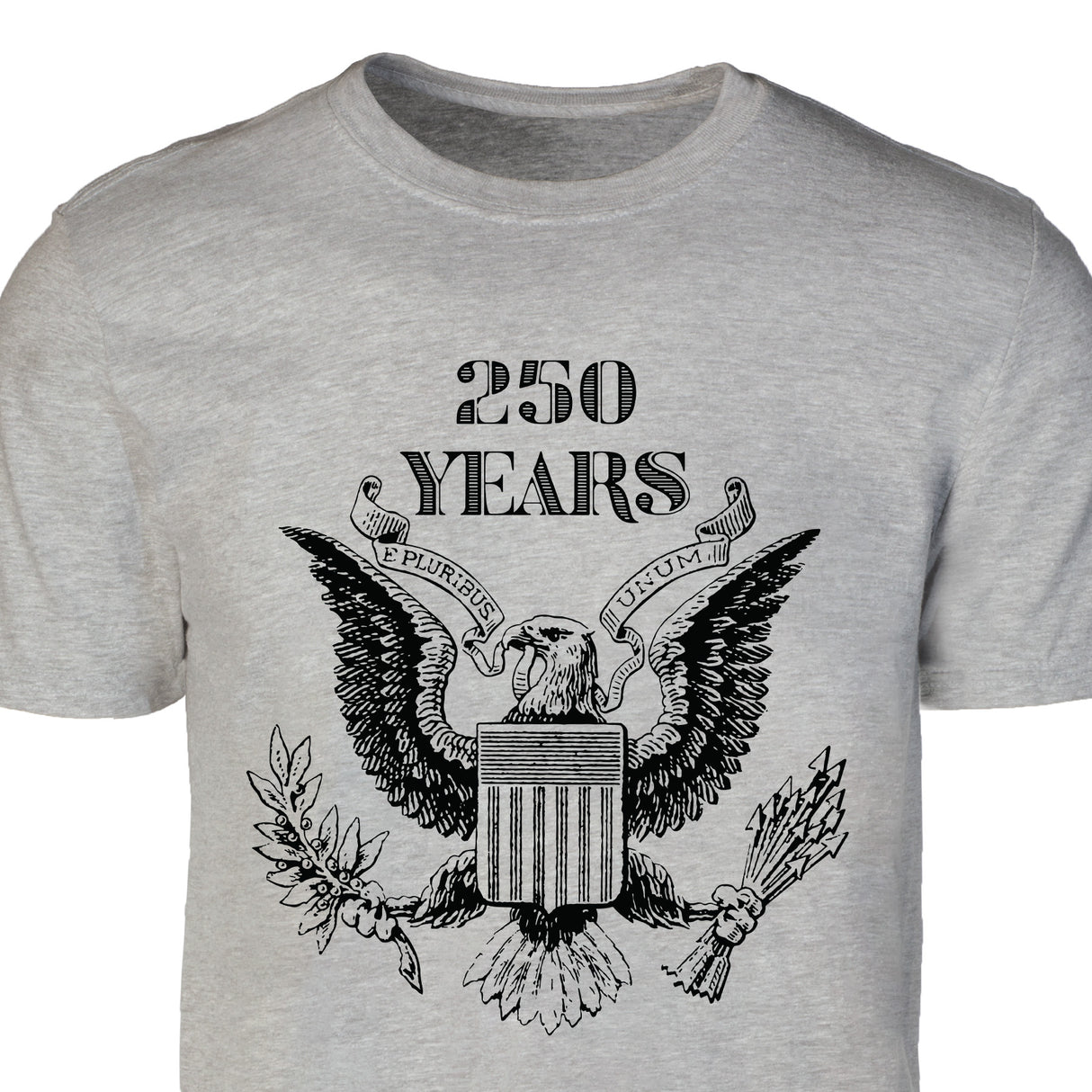 Vintage Eagle 250 Years T-Shirt- Gray - SGT GRIT