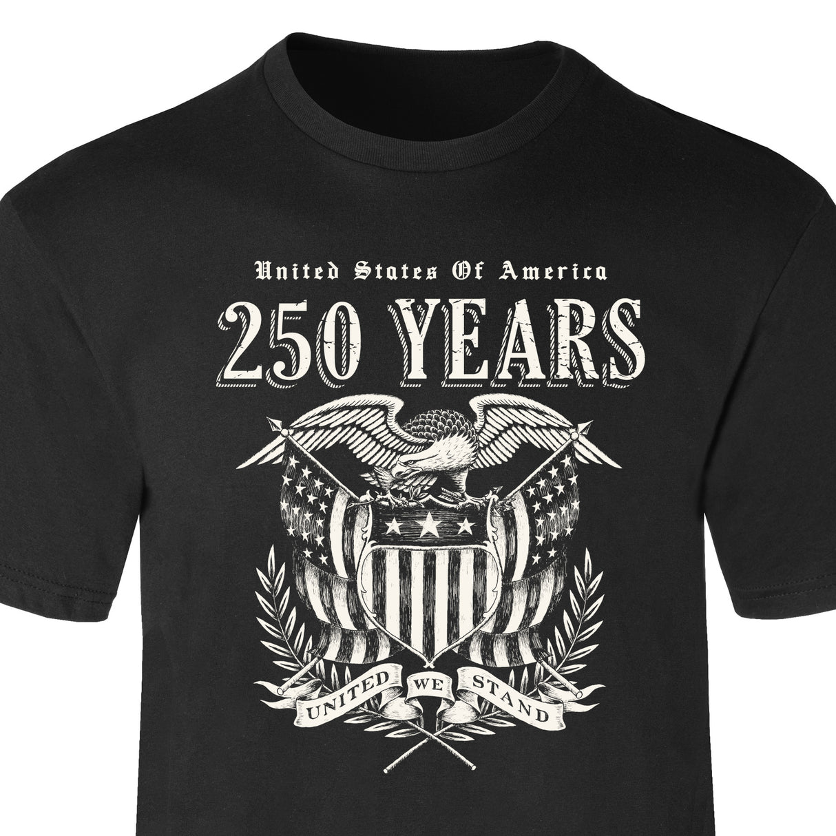 250 Years United We Stand T-Shirt - SGT GRIT