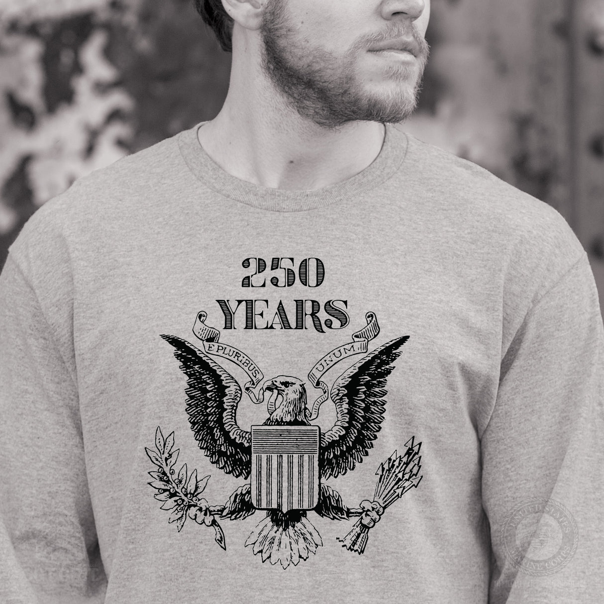 Vintage Eagle 250 Years Long Sleeve T-Shirt- Gray - SGT GRIT