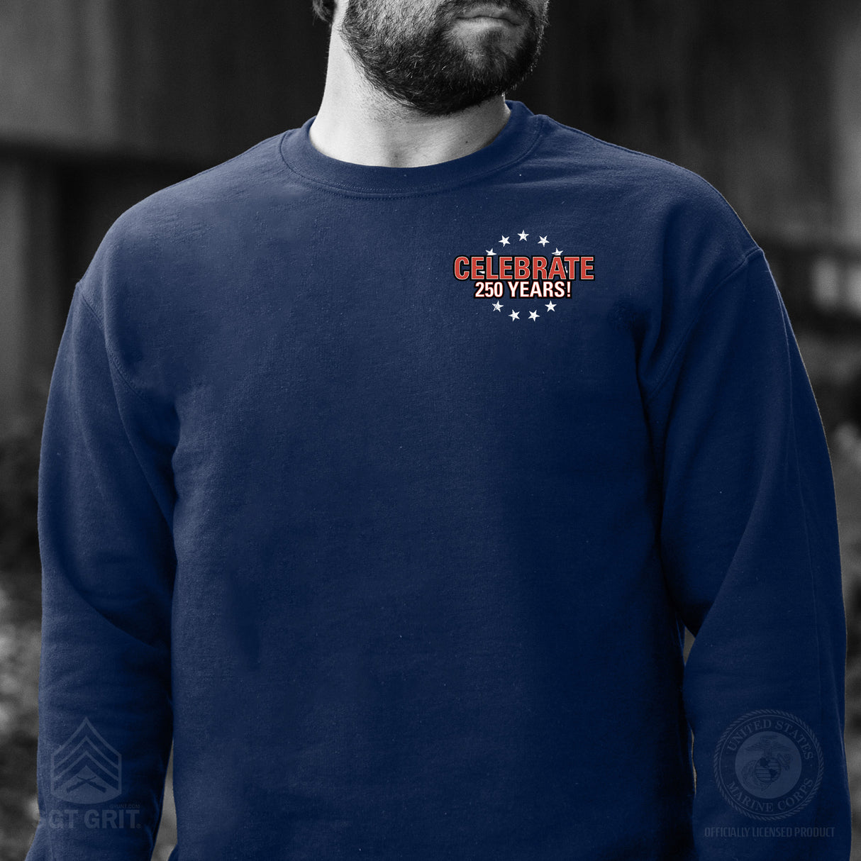I Want You to Celebrate 250 Years Sweatshirt - Back Design - SGT GRIT