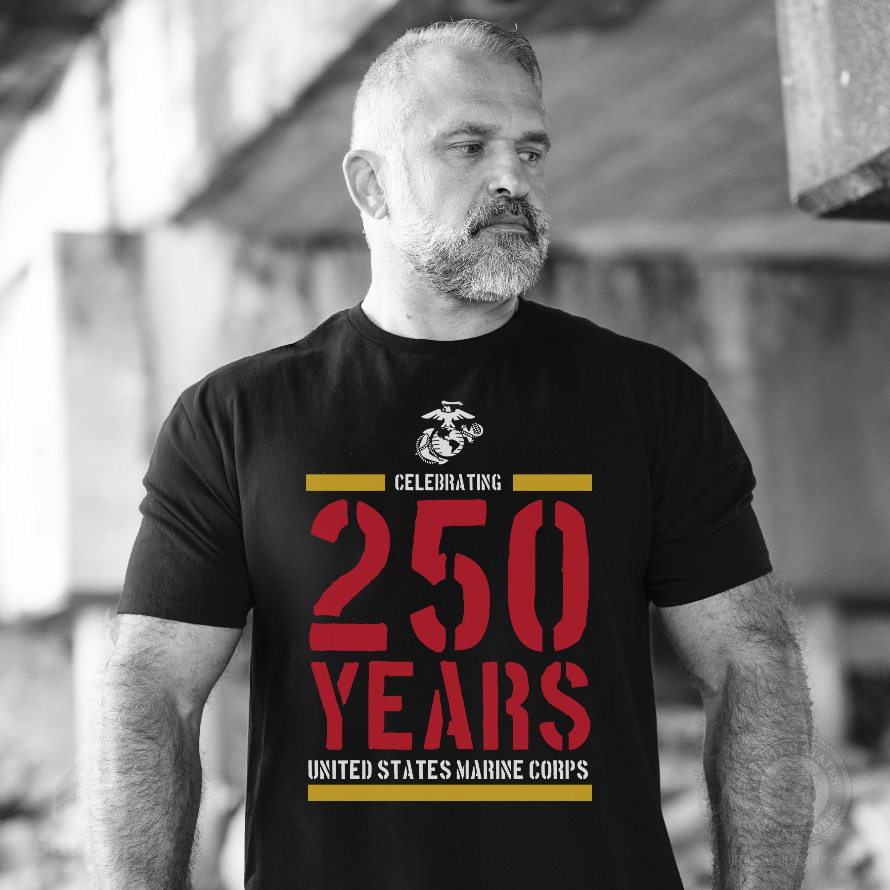 USMC Celebrating 250 Years T-Shirt – Black | Marine Corps Pride