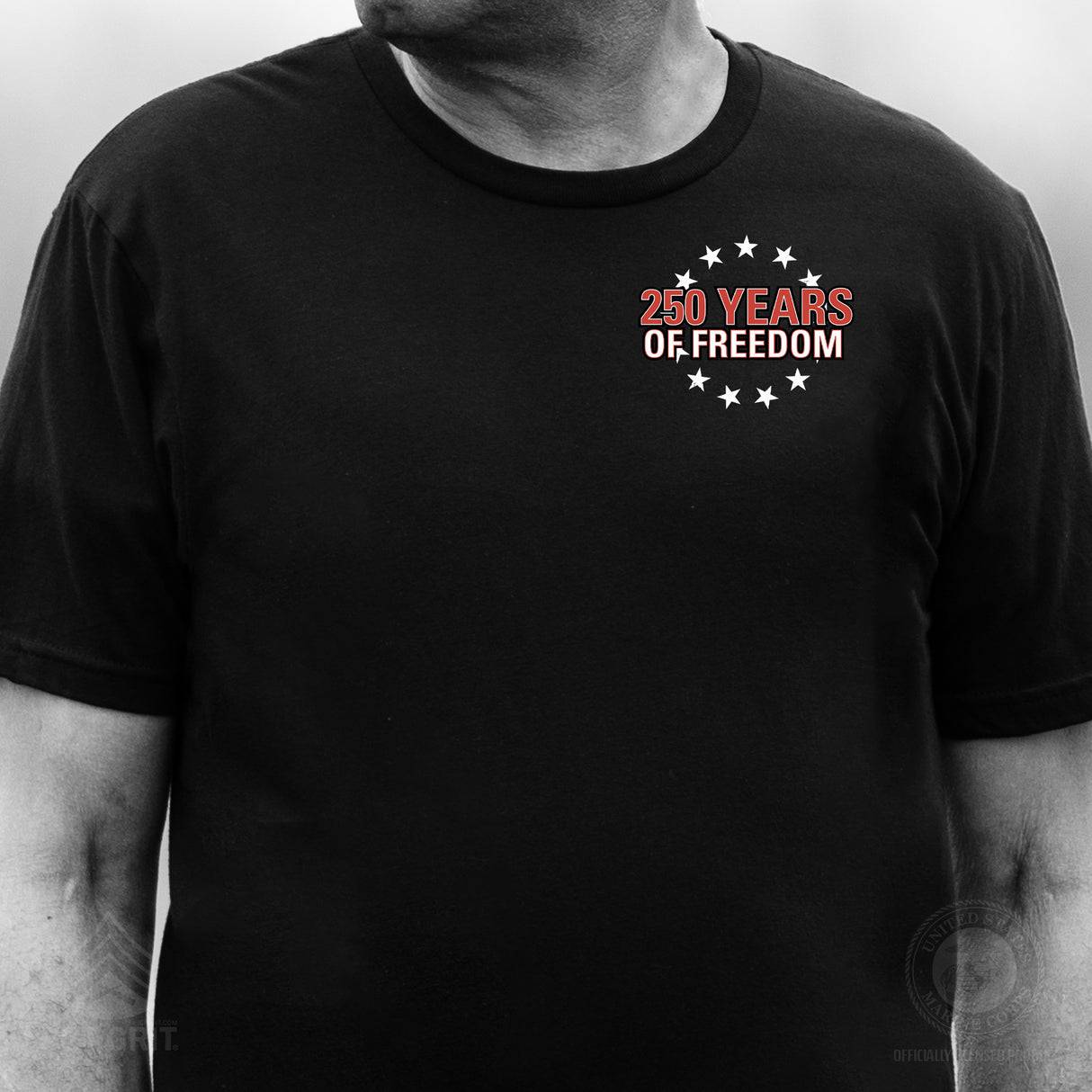 Cheers to 250 Years of Freedom T-Shirt - Back Design - SGT GRIT