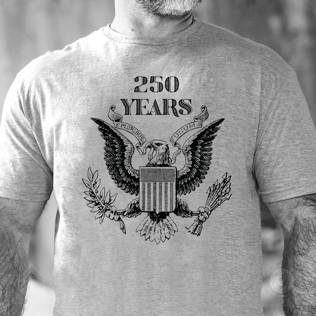 Vintage Eagle 250 Years T-Shirt- Gray - SGT GRIT