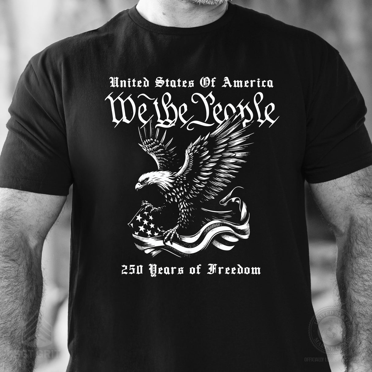 We The People 250 Years Eagle T-Shirt - SGT GRIT
