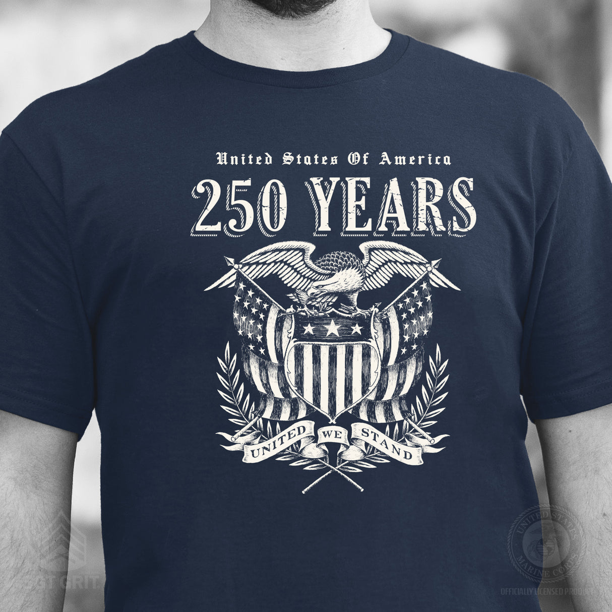 250 Years United We Stand T-Shirt - SGT GRIT