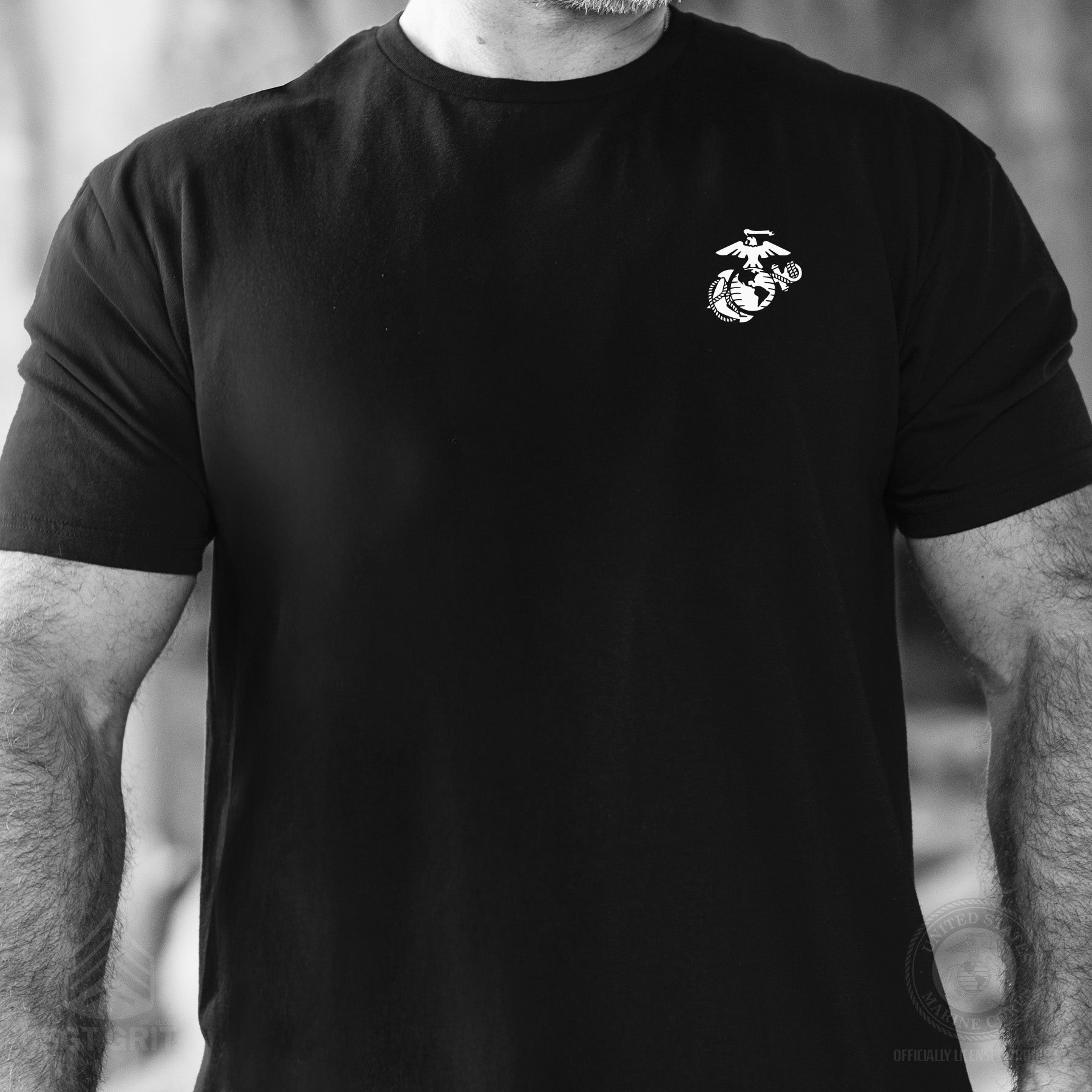 USMC 250th Anniversary Eagle T-Shirt- Back Design – SGT GRIT