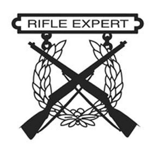 Rifle Expert 3 Decal - SGT GRIT