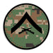 Choose Your Rank Decals in Desert or Woodland - SGT GRIT