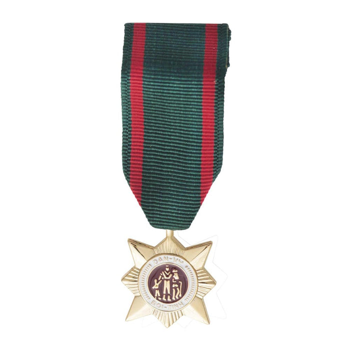 RVN Civil Actions 2nd Class Mini Medal - SGT GRIT