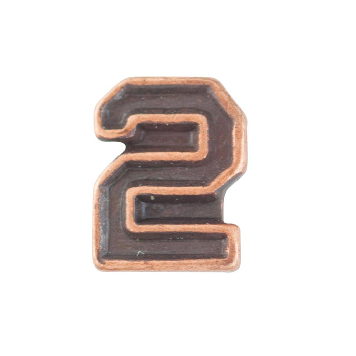 Bronze Numeral 2