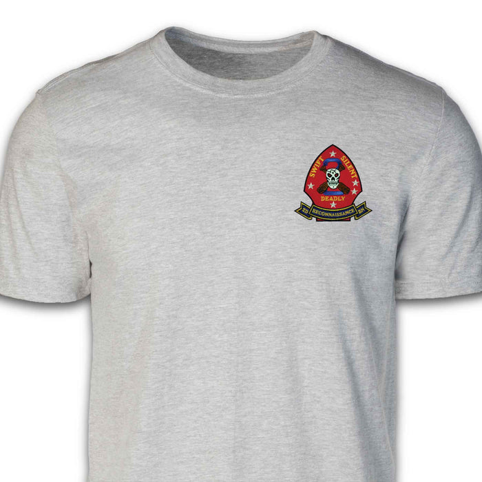 2nd Reconnaissance Battalion Patch T-shirt Gray - SGT GRIT