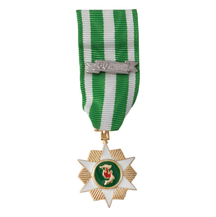 Vietnam Campaign Mini Medal - SGT GRIT