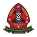 2nd Reconnaissance Battalion Patch - SGT GRIT
